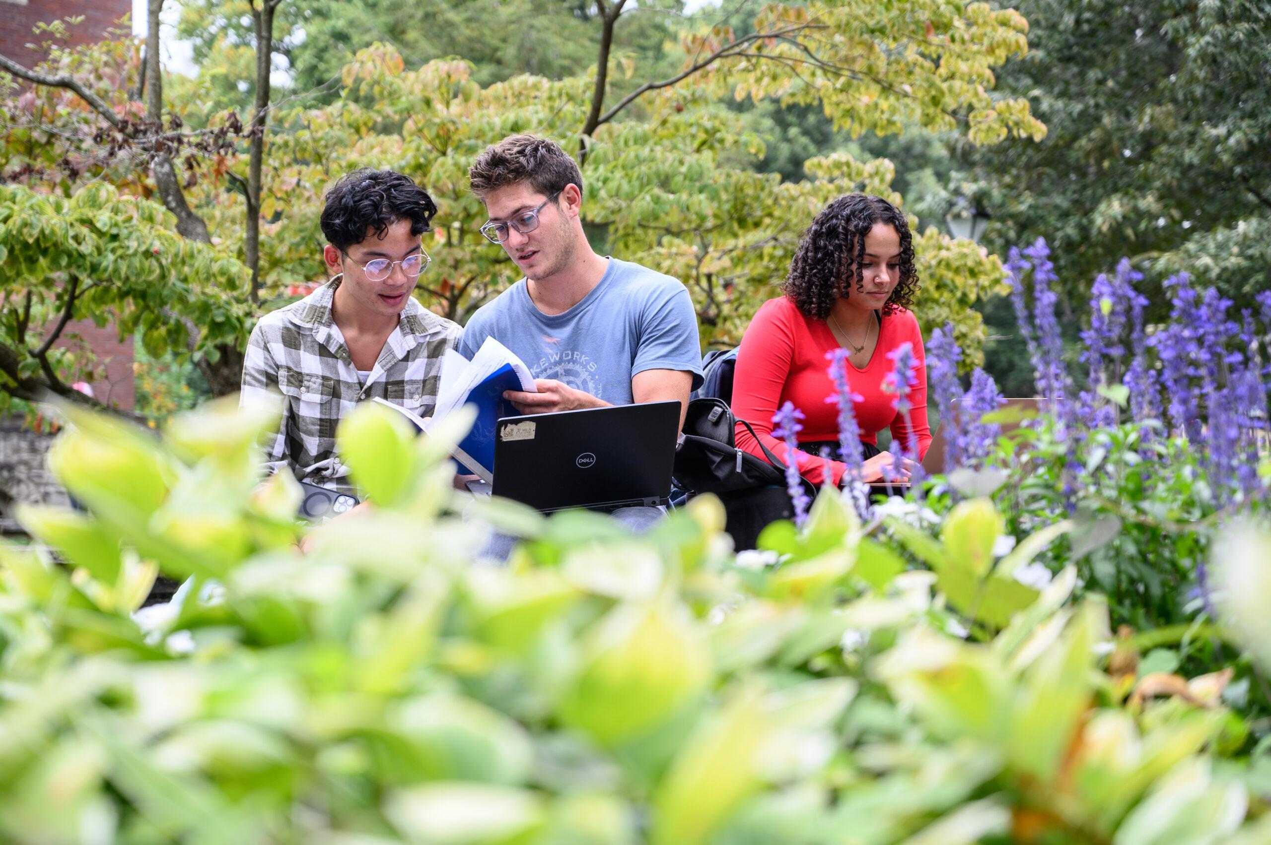 Students working on laptops.